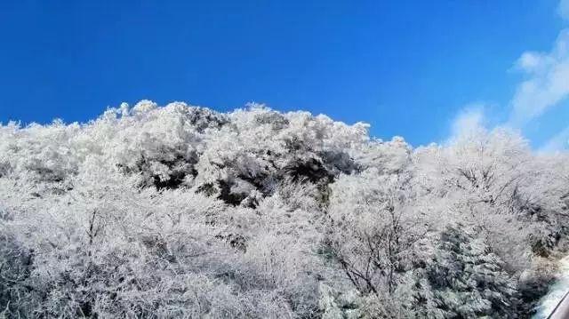 筑牢安全防线，仙营街道开展消防安全知识宣传