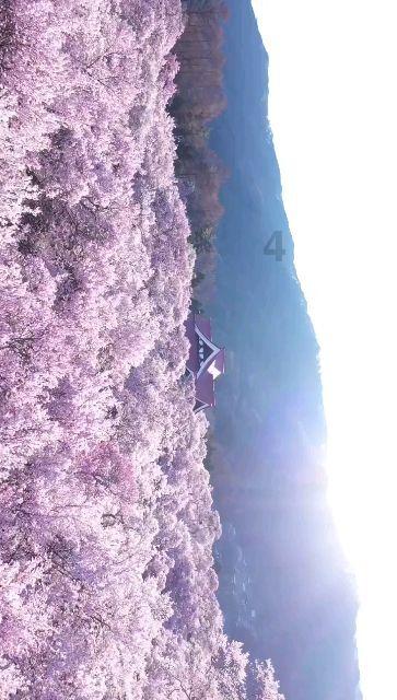 塞伯利亚之谜3