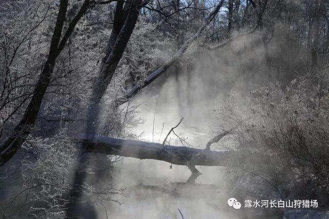 沪江开心词场