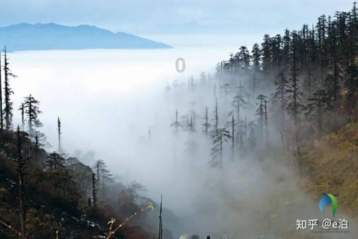 门诊一年接诊脱发患儿2100余人，青少年儿童脱发困扰怎么解？