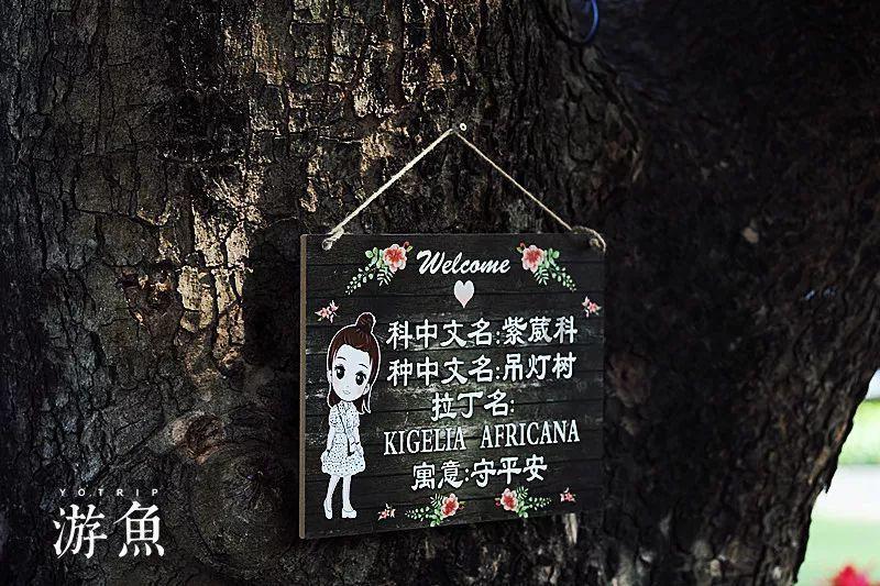 火柴人射箭