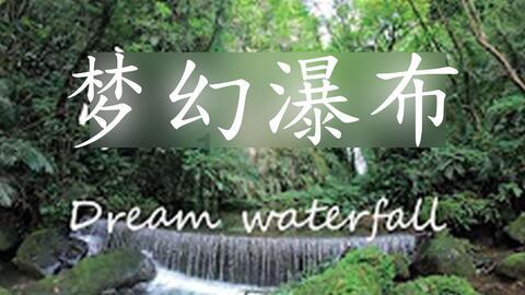 辽宁东北虎队 可能迎来百万级外援 他比暴脾气韦世豪还要叛逆