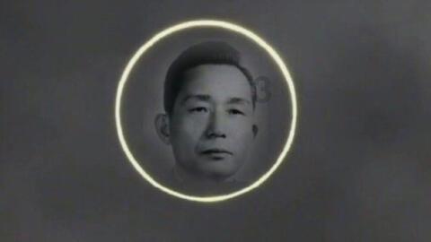 石油骚动