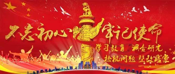 漂亮鹦鹉救援