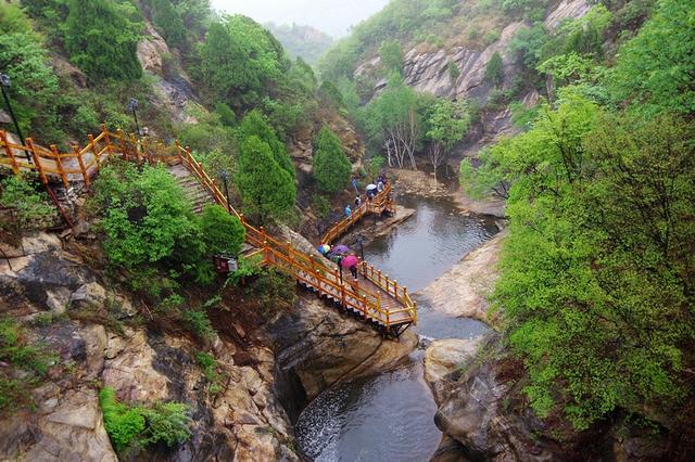 虫虫助手下载