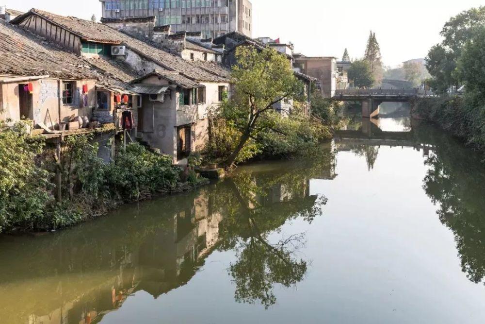 两会面对面｜专访贵阳市政协常委、市生态环境局局长伍向东